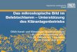 Das mikroskopische Bild im Belebtschlamm Unterstützung des ...nb110.de/Unterlagen NB Tage/pdf/Das mikroskopische Bild_Pinther.pdf · Bayerisches Landesamt für Umwelt Bayerisches