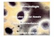 Die Lehre von der Abwehr „Eine Zusammenfassung“ Dr ... · Immunologie Die Lehre von der Abwehr „Eine Zusammenfassung“ Dr. Christoph Große-Kock