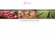 CF Gastro Strategiemeeting Kartoffel 21x21 Druck · PDF fileQUALI TÄT Qualität bei Obst, Gemüse oder Convenience-Produkten ist kein Zufall. Die rund 30 zur CF Gastro zählenden
