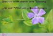 Herzlich willkommen zum Vortrag Fit und Vital mit ...¼r-Senioren.pdf · Grundlagen der Aromatherapie Aromatherapie für mehr Energie und Konzentration Motivation und Gelassenheit