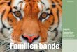 Faszination Raubtier : Vom Flaschenkind zum Tigermann ... · 26 leSnzi uim Mae / Apr 03 Silenzium 03 27 Bild links : Peter Schweikhard füttert Mara. Die Tiger lieben rohe Eier, wie