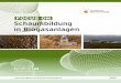 FOCUS ON Schaumbildung in Biogasanlagen · 4 5 Als das Teilprojekt „Schaum“ des Verbundprojektes „Opt-gas“ im Rahmen des Förderprogramms Energetische Biomassenutzung gestartet