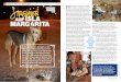 ISLA MARGARITA - Tierfotografie Winter: Startseite · MARGARITA [ 110 ] DOGStoday DOGStoday [ 111 ] FOTOS: Tierfotogta˜ e Wimter H ündin Obras ist von Anfang an mit dabei ge- wesen