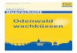 Odenwald wachküssen · Der Ruf führender Politiker unseres Odenwaldkreises nach einer klein-räumigen Energie-Selbstständigkeit hat dazu geführt, dass nun vermehrt