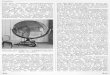 Acr1EC - digitalis.uni-koeln.de · Gefäße herstellte, die durchsichtig, glasiert und bemalt gewesen seien. Der venezian:sche Spiegelmacher Leonardo Peutinger rühmte Abb. 513. Kupferspiegel