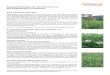 Saatgutmischungen für das Grünland und den Feldfutterbau ... Austria Futtermischungen.pdf · Damit wird gewährleistet, dass die Zusammensetzung und Bezeichnung der Saat-gutmischung