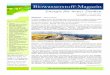 Biowasserstoff-Magazin · 19. Ausgabe • 15. Juni 2010 Seite 2 Wir bringen nochmals einen Beitrag über die ‚Grüne Wasserstoffwirtschaft’ – in aktualisierter Form