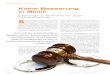 Keine Besserung in Sicht - plattform-sportrecht.deplattform-sportrecht.de/wp_psr/wp-content/uploads/2017/06/sport-und-doping.pdf · Eine Legitimation des Bundes zur Doping-bekämpfung