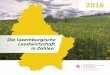 Die luxemburgische Landwirtschaft in Zahlen 2016 · Quelle: STATEC, Service d‘Economie Rurale * da die Masseinheiten für Arbeitseinsatz in der Landwirtschaft und der Gesamtwirtschaft