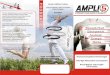 Derzeit erhältliche Produkte Wird die Körperfrequenz durch ... · STRENGTH BALANCE FLEXIBILITY Was ist Ampli5 Die Ampli5 Technologie ordnet durcheinander gebrachte Energiefelder