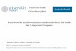 Paarformeln im Slowenischen und Kroatischen: Die Rolle der ...homepage.univie.ac.at/emmerich.kelih/wp-content/uploads/2012_Maribor... · Terminologie ff.: Paar- und Zwillingsformeln