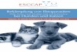 ESCCAP Schweiz – ESCCAP Suisse Bekämpfung von Ektoparasiten · felis ist unter anderem Vektor für Rickettsia felis und Bartonella henselae, die Erreger der Katzen-kratzkrankheit