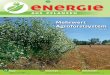Seite 58 - signal.uni-goettingen.de · 58 energie aus pflanzen 4 • 2018 Vorteile von Agroforstsystemen werden zu wenig genutzt A groforstwirtschaft kann sich über eine Nutzungsdauer