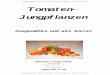 Tomaten- Jungpflanzen - mib-tt.de · Tomatenjungpflanzen - Michael’s Tomatenwelt – Email: mib_tt@gmx.de – Internet: 10 Jersey Giant ca. 8-10cm lang, Fleischtomate, für Suppen