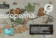 Europas Kulturerbe Gedächtnis zur Drehscheibe für Vom ...cms.deutsche-digitale-bibliothek.de/sites/default/files/media/document...September 2012 Europeana metadata released as CC0