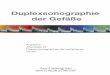 Duplexsonographie der peripheren Venen - kup.at · V. poplitea: Bauch-/Seitenlage (unterpolsterter Knöchel bzw. aufgestellte Zehen zur Verhinderung einer Kompression der V. poplitea