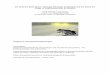 Die Erdkröte (Bufo bufo) – Biologie, Ökologie, Systematik ... · PDF fileDie Erdkröte (Bufo bufo) – Biologie, Ökologie, Systematik und der Stand der Dinge im Amphibienschutz