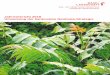 Jahresbericht 2018 Umsetzung der kantonalen Neobiota-Strategie · Jahresbericht 2018 – Umsetzung der kantonalen Neobiota-Strategie Seite 6/19 2. Bekämpfung invasiver Pflanzen (Neophyten)