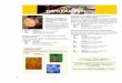 GESTALTEN - titisee- · PDF file44 Aquarellieren kombiniert mit Pastell-Ölkreiden - Anfänger und Fortgeschrittene Anfänger lernen Schritt für Schritt Bildaufbau und Maltechniken