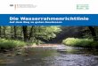 Die Wasserrahmenrichtlinie - Auf dem Weg zu guten Gewässern · 3 Die Wasserrahmenrichtlinie Auf dem Weg zu guten Gewässern – Ergebnisse der Bewirtschaftungsplanung 2009 in Deutschland
