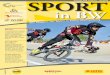 Ausgabe BSB Freiburg – 04 | 2019 SPORT in BW · SPORT in BW Ehrung 16 Unternehmen wurden in Schonach als „Partner-betriebe des Spitzen-sports“ ausgezeichnet. Eines davon war
