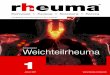 Fortbildung d nformationen ür achleute - Rheuma Schweiz · 1 t h R 1 ‡ Als Kombinationstherapie mit einem krankheitsmodiﬁ zierenden nicht biologischen Antirheumatikum (einschliesslich