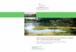 Managemen tplanung Natura 2000 im Land Brandenburg · Impressum Managementplanung Natura 2000 im Land Brandenburg Managementplan für das Gebiet: „Schwarzer See“, Landesinterne