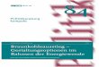 Die Zukunft der Braunkohle in Deutschland im Rahmen der ... · ISBN‐13 978‐3‐938762‐75-2 ... to select a profession and ownership (Articles 12 and 14, respectively, of the