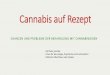 Cannabis auf Rezept - drobs-halle.de · 4-Punkt-Likert-Skala (zwischen 0 und 33 Punkten), nach [6], Crohnbach's alpha in der eigenen Anwendung als strukturiertes Interview bei 0,78,