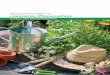 Sektorspezifische Leitlinie zum integrierten ... · Sektorspezifische Leitlinie zum integrierten Pflanzenschutz im HuK (Stand 01/2019) 2 Verzeichnis der beteiligten Verbände und
