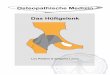 Osteopathische Medizin Das Hüftgelenk - osteopedia.iao.beosteopedia.iao.be/uploads/heup_de_demo.pdf · 10 2.2.1.2. Mit dem Becken und der Wirbelsäule als Hebel Diese Hüftbewegungen