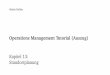 Operations Management Tutorial (Auszug) - media.libri. · PDF fileVorwort Dieses Buch entstand als Unterrichtsmaterial für meine Anfänger-Vorlesung „Operations Management“ im