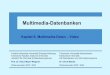 Multimedia-Datenbanken -  · Friedrich-Alexander-Universität Erlangen-Nürnberg Technische Fakultät, Institut für Informatik Lehrstuhl für Informatik 6 (Datenbanksysteme)