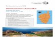 Blütenfahrt Korsika - cdn · Ausflug führt Sie an das Cap Corse, den "Finger Korsikas". Das 40 km lange und bis 15 km breite Cap ist die nach Norden ins Meer hinausragende Verlängerung