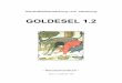 GOLDESEL 1 - finanzcontrolling.uni-bremen.de · Inhaltsverzeichnis Dokumentation zu GOLDESEL 1.2 Seite I Inhaltsverzeichnis
