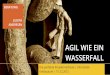AGIL WIE EIN WASSERFALL - mi.fu-berlin.de · BERATUNG JUDITH ANDRESEN AGIL WIE EIN WASSERFALL Individuals and interactions over processes and tools Working software over comprehensive