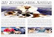 Zwei Steinacher Hunde waren im Einsatz am WEF in Davos ...therapiedogs.ch/files/Inhalte/Pressemitteilungen/Artikel_Felix_2018-02-02.pdf · Auch die weit gereiste Mongolin kennt keine