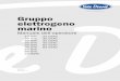 Gruppo elettrogeno marino - solediesel.comsolediesel.com/portals/0/ftp/manuales/u_gg_it.pdf · Schaltfläche funktioniert nur, wenn der Hauptbildschirm mit der Anzeige des aktuell