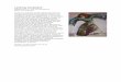 L Maler und Zeichner - memoriart33–45memoriart33-45.org/L Maler und Zeichner.pdf · Levin, Julo Stettin 1901 – 1943 nach Auschwitz deportiert Maler und Kunstpädagoge In Stettin