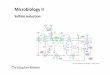 Microbiology II - uni-due.de · Microbiology II Sulfate reduction Christopher Bräsen aus Fuchs, Allgemeine Mikrobiologie, 9. Auflage, Thieme