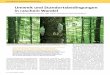 Umwelt und Standortsbedingungen in raschem Wandel · 1 Die Wälder, wie dieser 160-jährige Eichen-Buchen Mischbestand auf der Waldklimastation Freising müssen in Zukunft mit Umweltbedingungen