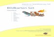 Leseprobe Bildkarten Set - Freiarbeitsmaterial Grundschule · Bildkarten Set: Haustiere | © 2014 wunderwelten Verlag |  Bildkarten Set Haustiere Hund Katze Hamster