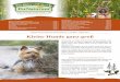 Kleine Hunde ganz groß - PerNaturam · Ratgeber für die artgerechte Hundeernährung – 4. Ausgabe – Oktober 2017 Als bei uns vor einiger Zeit die Entscheidung anstand, einen