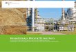 Roadmap Bioraffinerien im Rahmen der Aktionspläne der ... · Roadmap Bioraffinerien 3 Inhalt Kurzfassung „Roadmap Bioraffinerien“ 4 1 Motivation 16 2 Bioraffinerien im Kontext