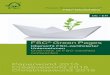 FSC Green Pages - fsc-deutschland.de · FSC® Green Pages Übersicht FSC-zertifizierter Unternehmen Overview of FSC-certified companies Paperworld 2015 Creativeworld 2015 Christmasworld
