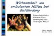 Interdisziplinäre Kinderschutz- fachtagung des Thüringer MBJS · eines Kindes in der Familie 0 – 1 Risikofaktoren 0 % 2 – 3 Risikofaktoren 13% 4 oder mehr Risikofaktoren 53%