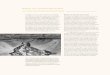 Malula: vom syrischen Bauerndorf zur internationalen .... Escher.pdf · Kapitel 2.8 Wasserprobleme und ländliche Entwicklung Die dörflichen Handwerker, Schmied und Schrei-ner, stellten