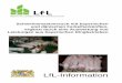 Schweinemastversuch mit bayerischen und dänischen ... · landesweit eingesetzten DanBred Zuchtprogramms der Firma Dan Bred International (DBI). Dieses Unternehmen wurde 1972 gegründet