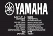 BAIXO ELÉTRICO MANUAL DO PROPRIETÁRIO - Yamaha Owner's... · 2 Vielen Dank für den Kauf eines Yamaha E-Bass. Damit Sie das Potenzial dieses Instru-ments voll nutzen können, raten