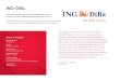 ING-DiBa - united-internet-media.de · ING-DiBa AG ING-DiBa Die positive Nutzererfahrung und die direkte Platzierung von In-Text Video Ads in redaktionellen Umfeldern zahlt sich aus